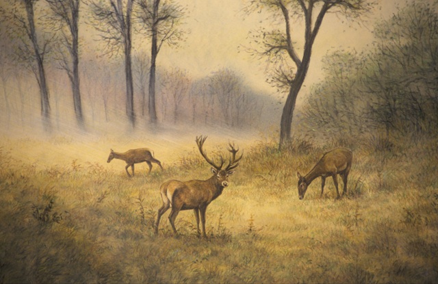 Galéria kép